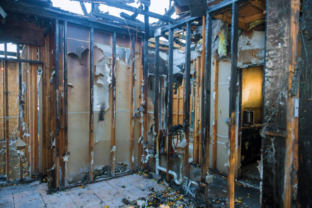 Professional Structural Rebuild technician working in Columbus, MN